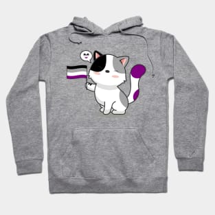 Cute Cat Holding Asexual Pride Flag Hoodie